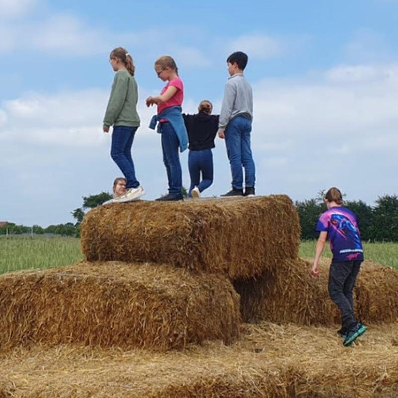 Kleiner Zwischenstop beim Roggen-Labyrinth