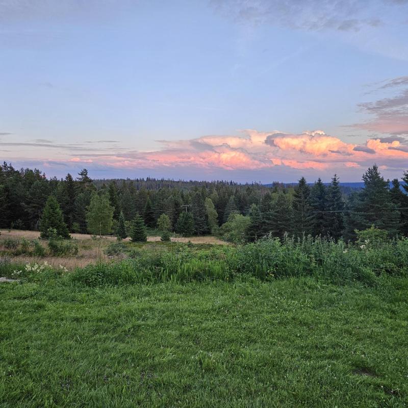 Panorama im Schwarzwald 