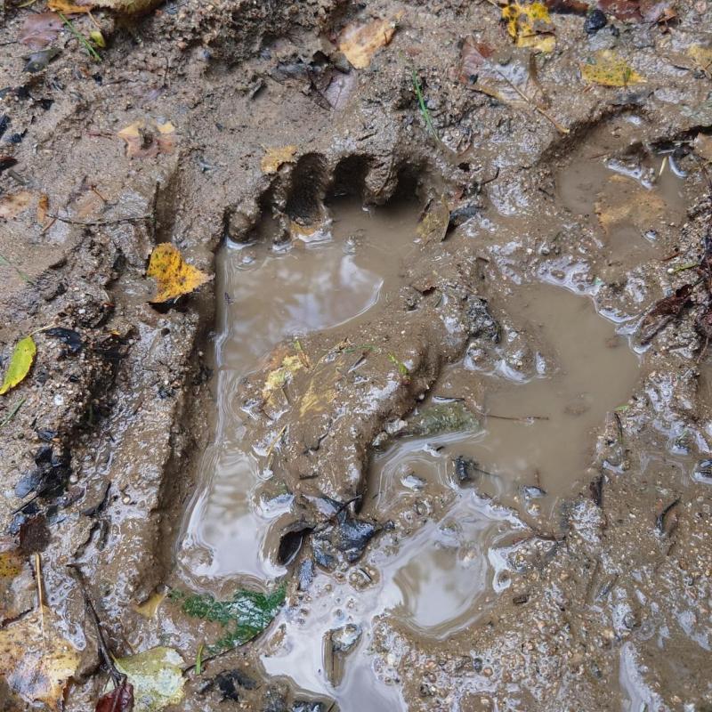 Fußabdruck im Park der Sinne