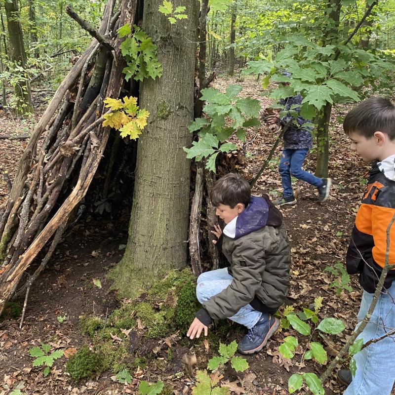 Waldtag der Stufe 5